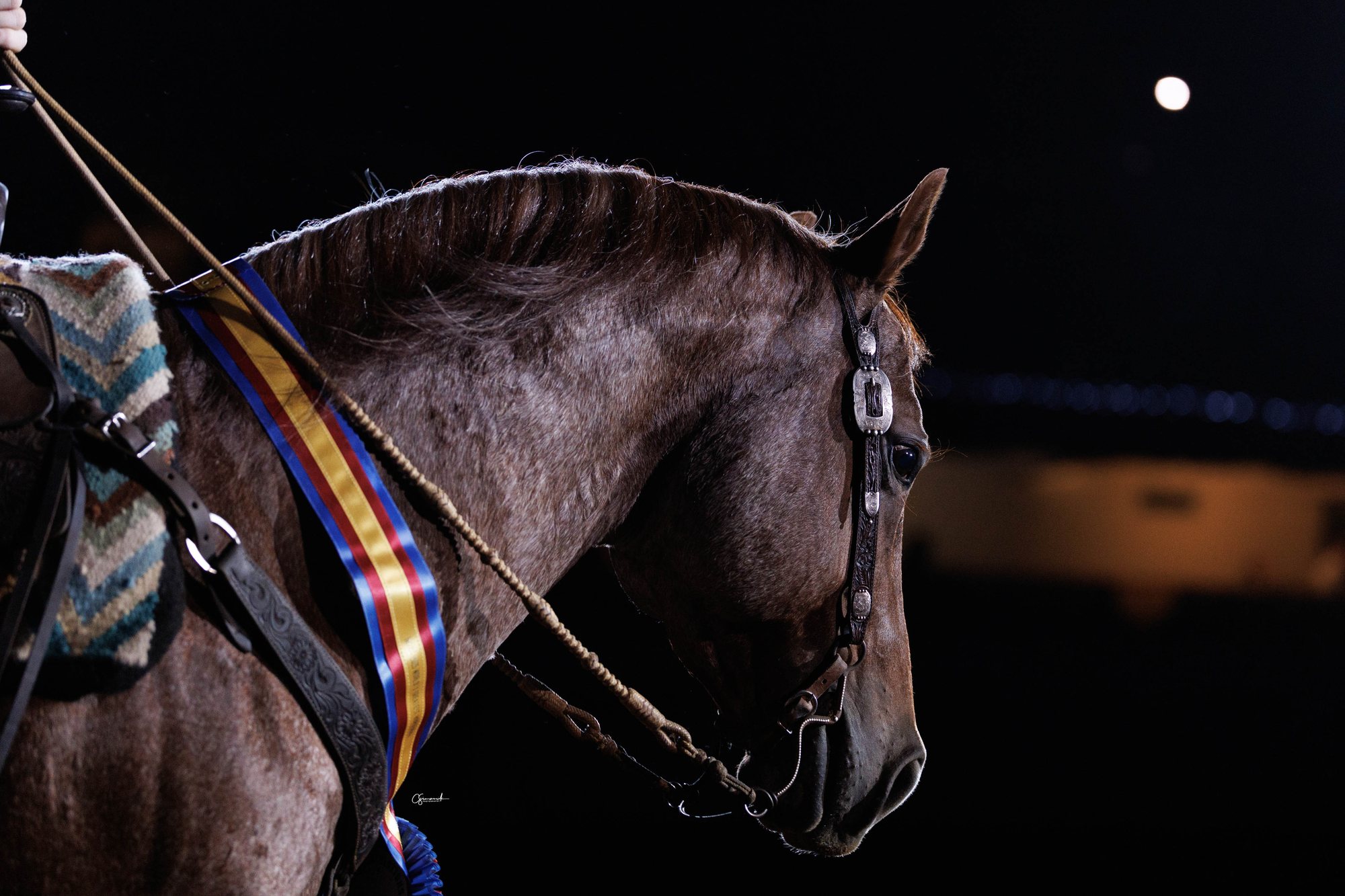 Hazardouz Material, World's Greatest Horseman winner